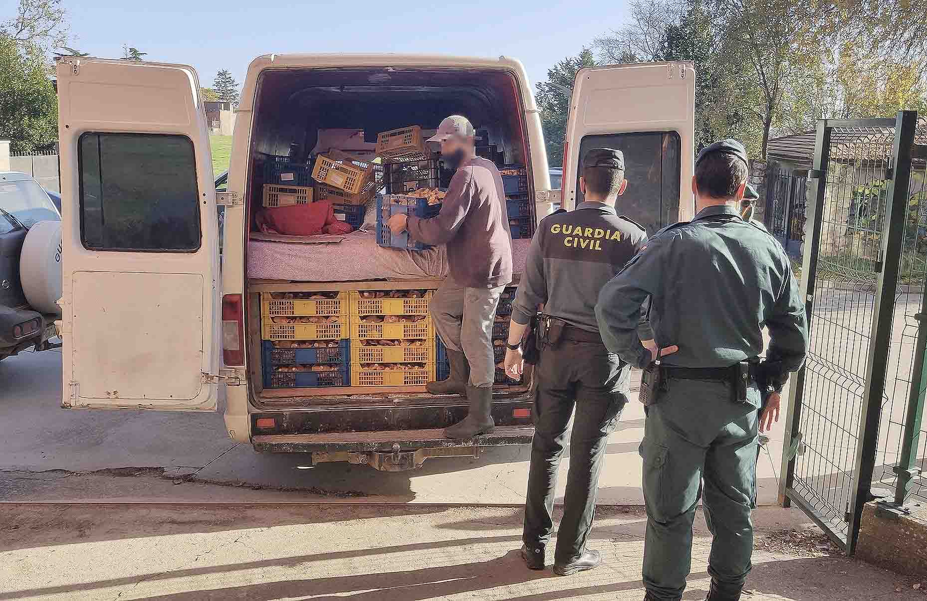 Setas incautación Seprona Guardia Civil furgoneta