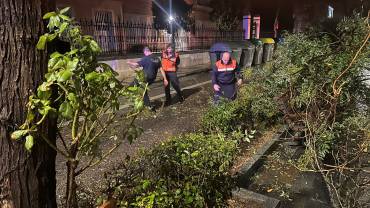 Bomberos Retirada árbol en Fernandez Iparraguirre