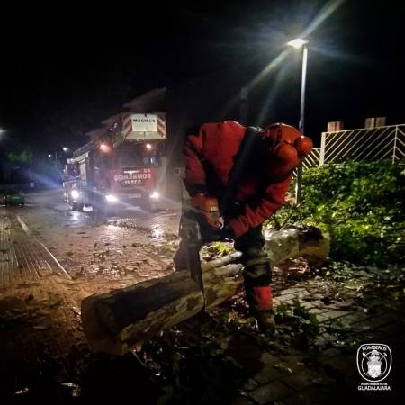 cortando arbol bomberos