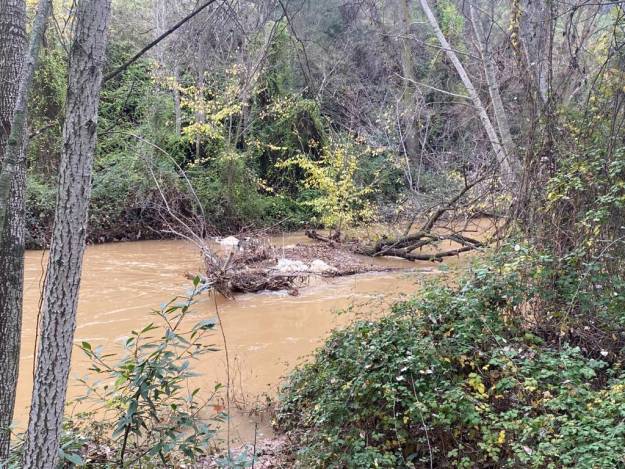 ramas secas cauce río henares diciembre 2023