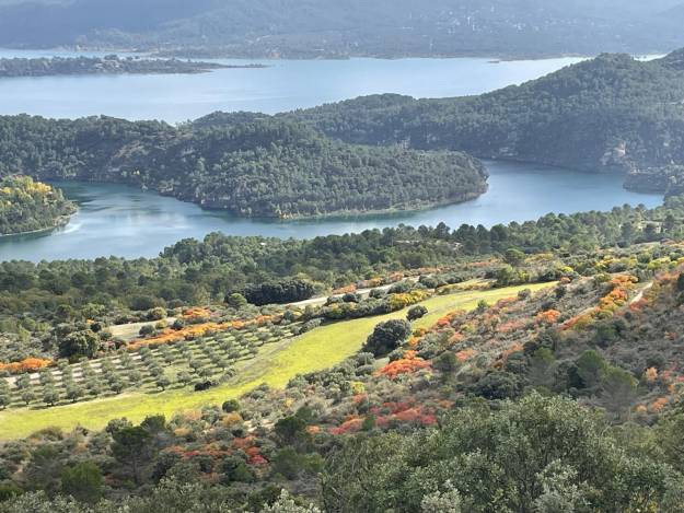 entrepenas 3 noviembre 2024 2