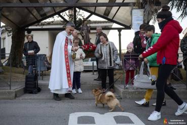 San Antón animales Yunquera 2