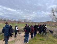 Se observarán las aves del entorno. Foto: Azunatura. Azunatura 1