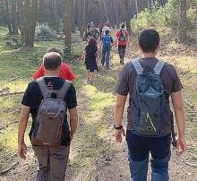 Archivo GD Senderismo pinar