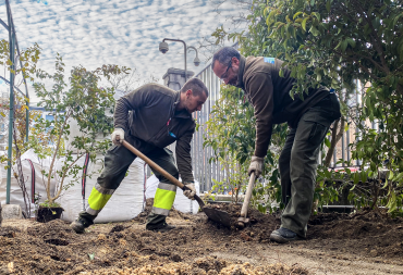 trabajadores jardineros