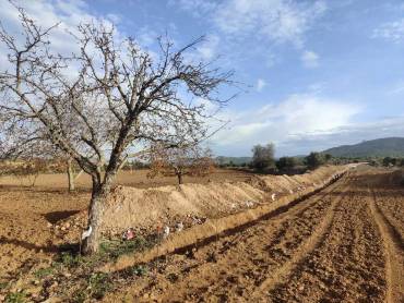 Almonacid fotovoltaica Renovalia zanjas Foto Guadalajaradiario 5